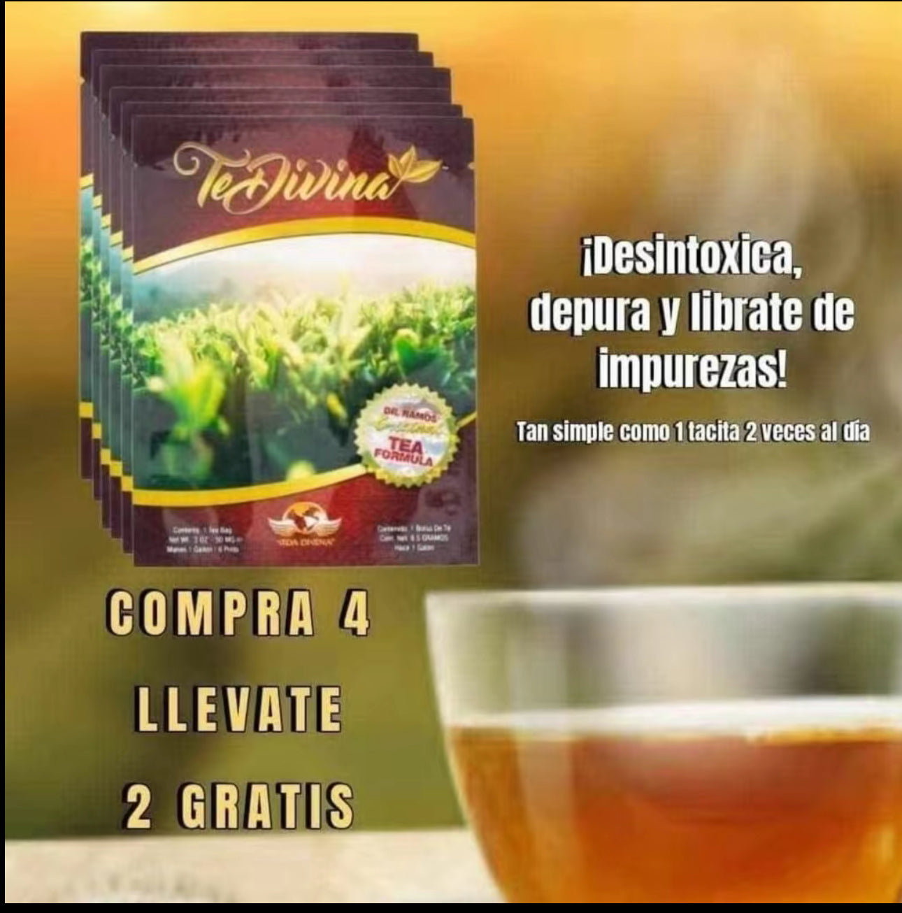 Vida Divina Té Divina – Natural Detox Herbal Tea (6-Week Supply)
